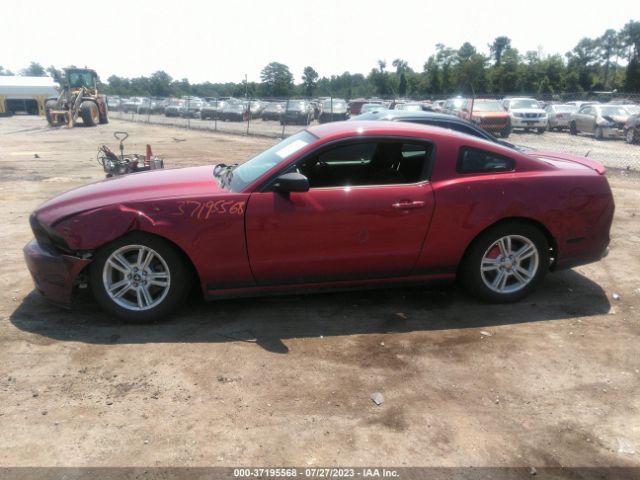 1ZVBP8AM8E5324549 Ford Mustang V6