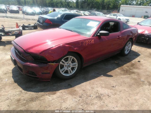 1ZVBP8AM8E5324549 Ford Mustang V6