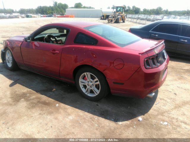 1ZVBP8AM8E5324549 Ford Mustang V6