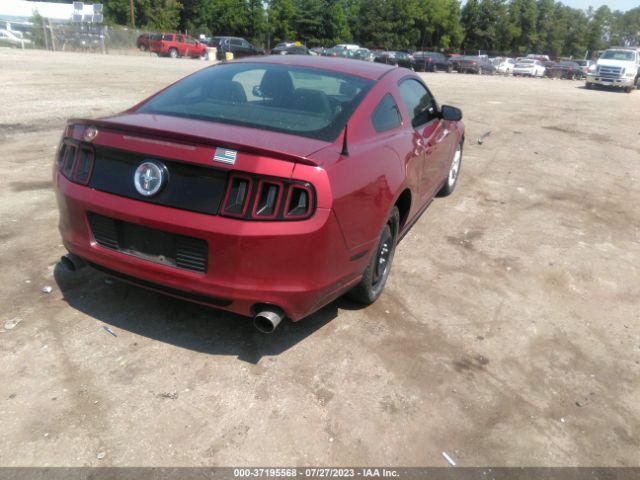 1ZVBP8AM8E5324549 Ford Mustang V6