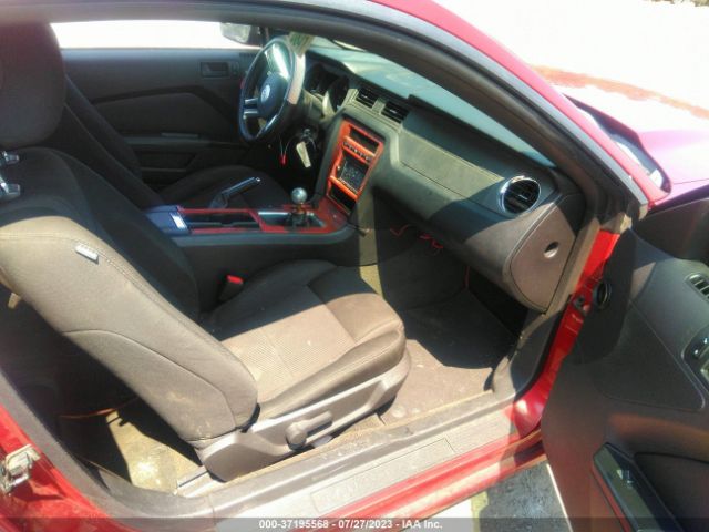 1ZVBP8AM8E5324549 Ford Mustang V6