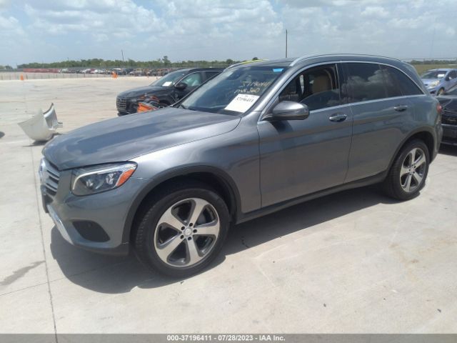 WDC0G4JBXGF096207 Mercedes-Benz Glc Glc 300