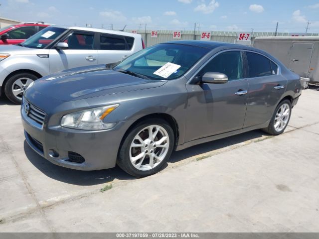 1N4AA5AP1EC438516 Nissan Maxima 3.5 Sv W/premium Pkg