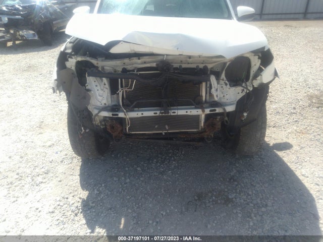 2015 TOYOTA 4RUNNER SR5 VIN: JTEBU5JR3F5265753