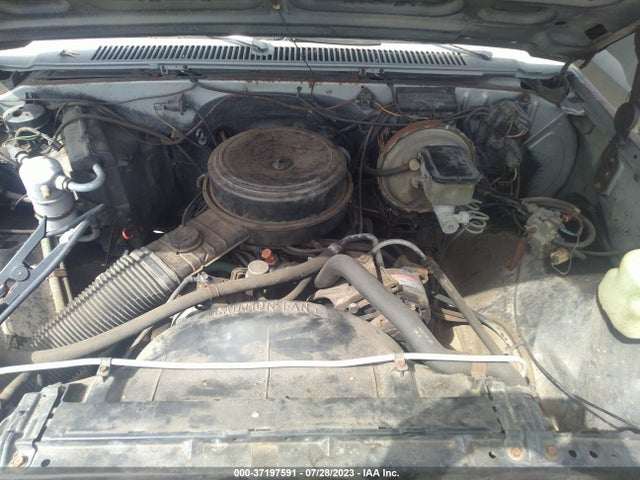 1982 CHEVROLET C10 VIN: 2GCEC14H3C1118636
