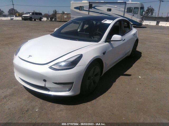 Tesla MODEL 3 2023 5YJ3E1EA8PF487014 Image 2