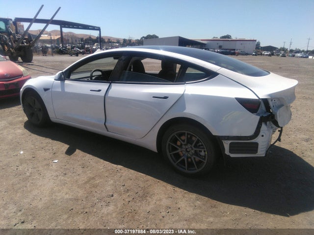 Tesla MODEL 3 2023 5YJ3E1EA8PF487014 Image 11