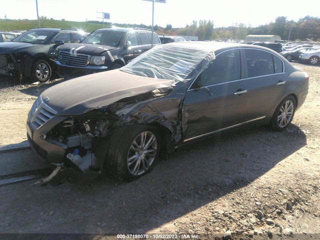 2011 HYUNDAI GENESIS VIN: KMHGC4DF7BU141330