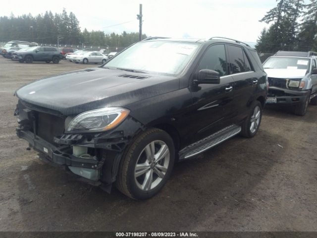 4JGDA5HB1FA588460 Mercedes-Benz M-class Ml 350