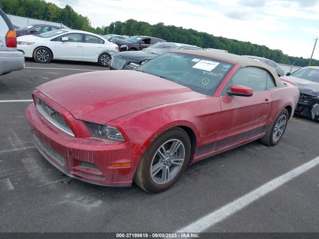 2013 FORD MUSTANG V6 VIN: 1ZVBP8EM9D5202839