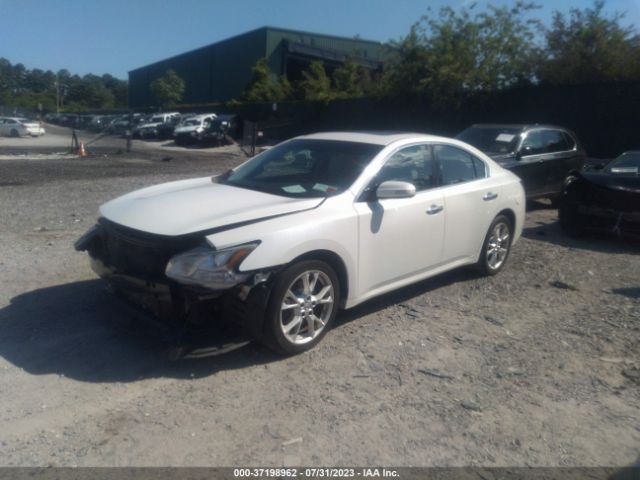 1N4AA5AP1EC464078 Nissan Maxima 3.5 Sv