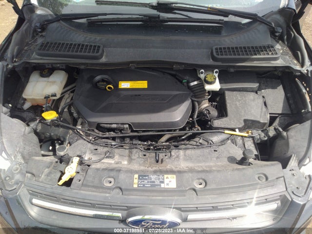 Ford ESCAPE SE 2015 1FMCU0GX4FUA90285 Image 10