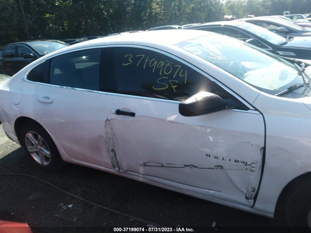 Chevrolet MALIBU LS 2019 1G1ZB5ST8KF176129 Image 13