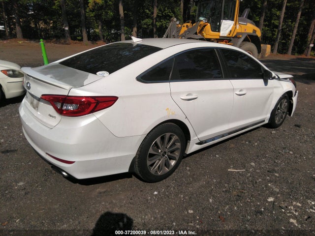 2015 HYUNDAI SONATA 2.4L SPORT VIN: 5NPE34AF5FH027973