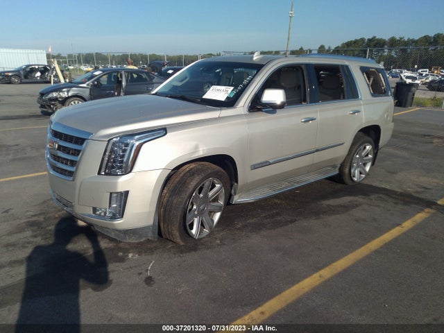 1GYS4MKJXFR516374 Cadillac Escalade Luxury