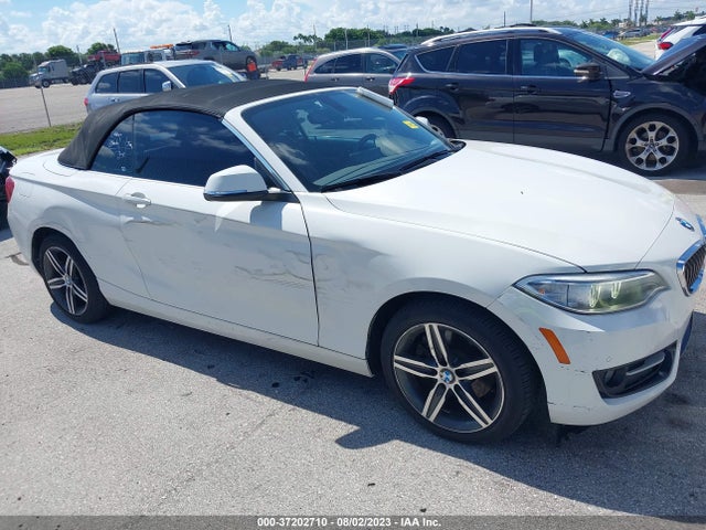 2017 BMW 2 SERIES 230I VIN: WBA2K9C39HV647408