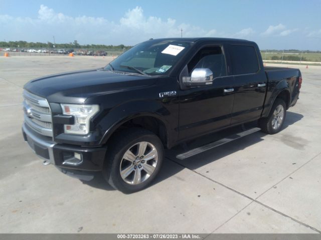 1FTEW1EF5FFC93181 Ford F-150 Xlt/xl/lariat/platinum