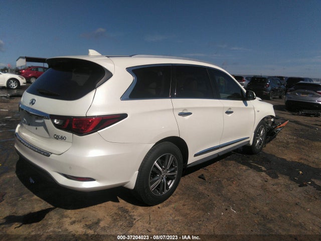 2020 INFINITI QX60 LUXE VIN: 5N1DL0MN0LC523385