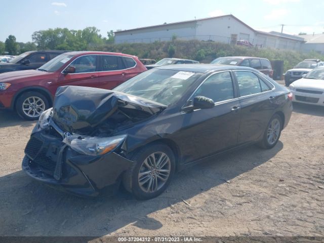 4T1BF1FK5GU160573 Toyota Camry Xle/se/le/xse