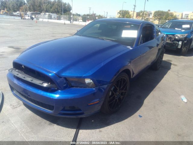 1ZVBP8AM0E5266176 Ford Mustang V6