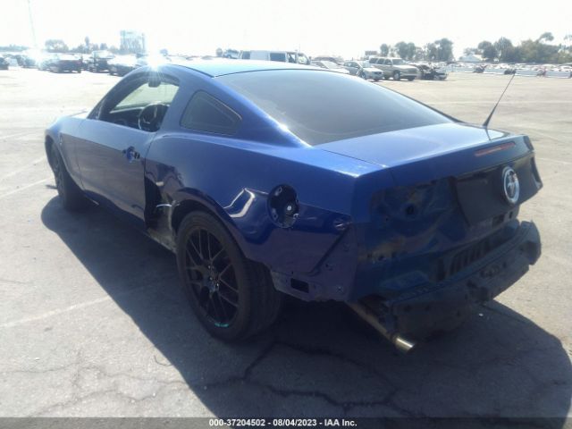 1ZVBP8AM0E5266176 Ford Mustang V6