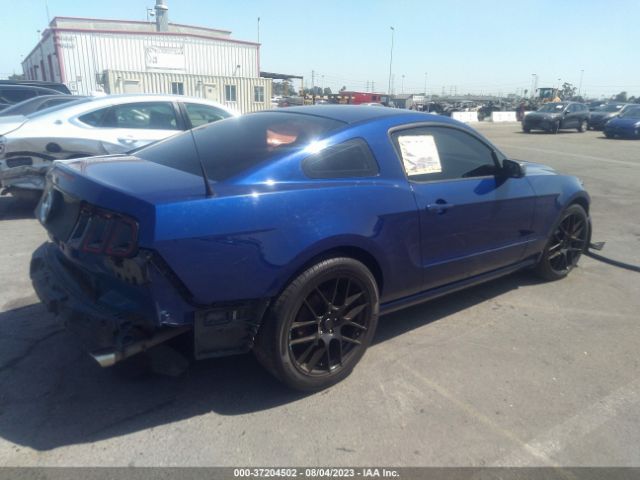 1ZVBP8AM0E5266176 Ford Mustang V6
