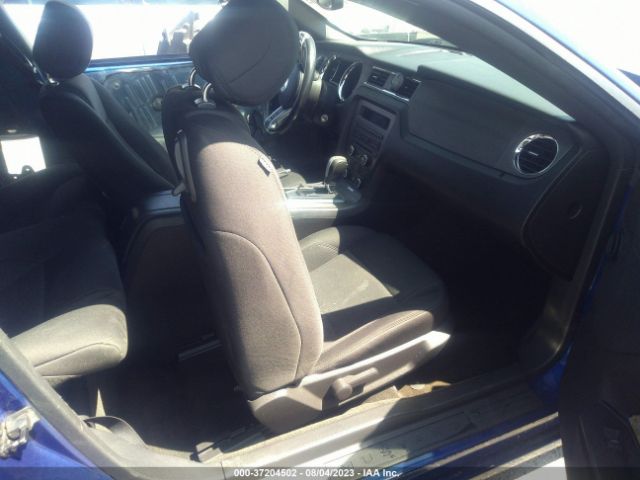 1ZVBP8AM0E5266176 Ford Mustang V6
