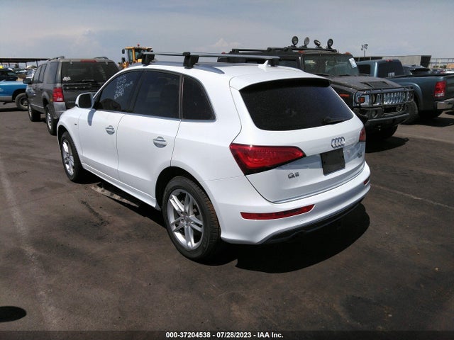 WA1D7AFP5GA123668 Audi Q5 Premium Plus