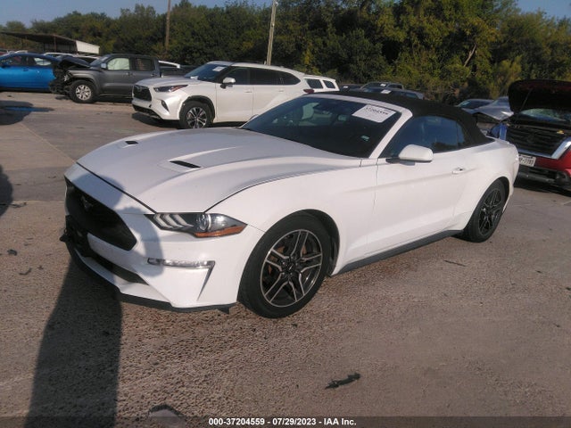 Ford Mustang Ecoboost 2021 1FATP8UH3M5102611 Image 2