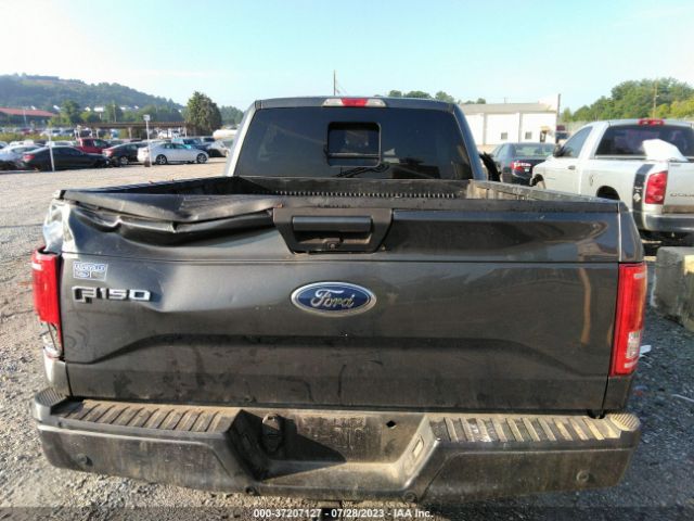 1FTEX1CP2GFB41532 Ford F-150 Xl/lariat/xlt