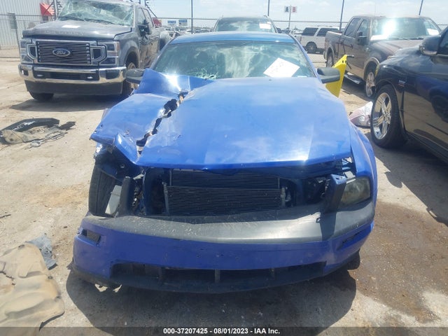 2006 FORD MUSTANG GT VIN: 1ZVHT82H865191607