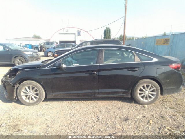 5NPE24AF7JH689646 Hyundai SONATA SE