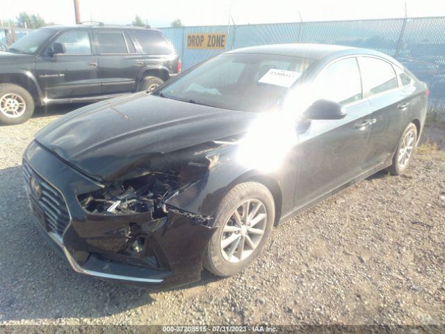 5NPE24AF7JH689646 Hyundai SONATA SE