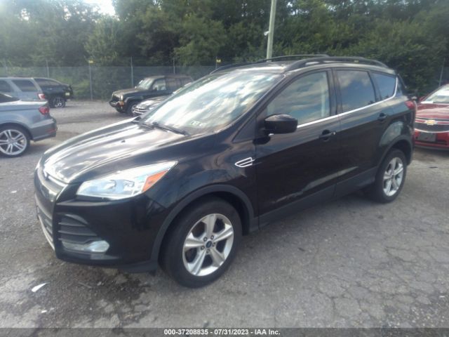 1FMCU9GX9FUC00560 Ford ESCAPE SE