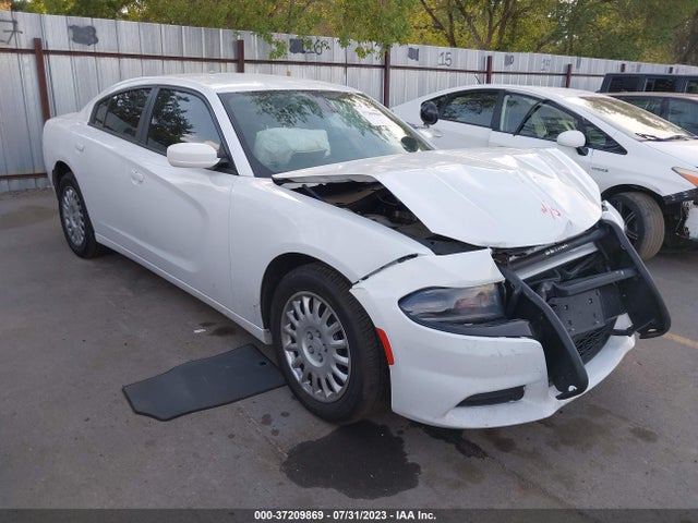 2019 2C3CDXKT4KH730983 главное изображение