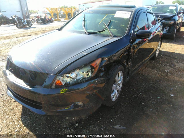 2009 HONDA ACCORD SDN EX-L VIN: 1HGCP36889A042075