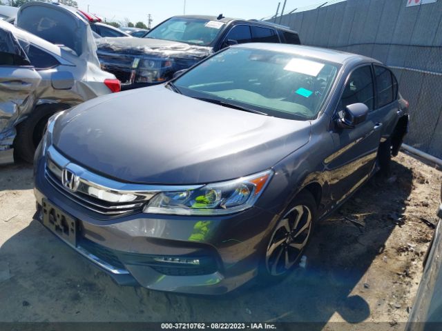 1HGCR3F00HA031087 Honda Accord Sedan Ex-l V6