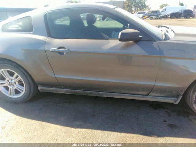 1ZVBP8AM5E5239765 Ford Mustang V6
