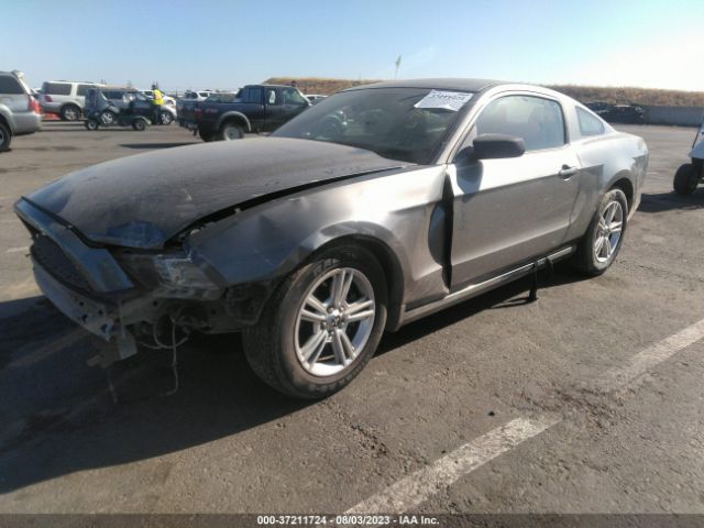 1ZVBP8AM5E5239765 Ford Mustang V6