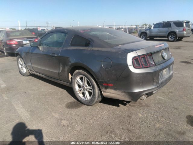 1ZVBP8AM5E5239765 Ford Mustang V6