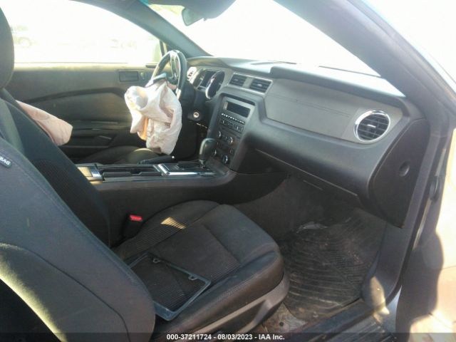 1ZVBP8AM5E5239765 Ford Mustang V6