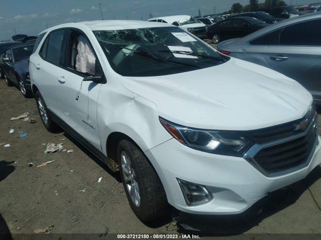 Chevrolet EQUINOX LS 2019 2GNAXHEV2K6150261 Image 1