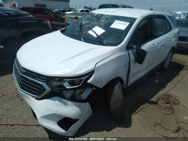 Chevrolet EQUINOX LS 2019 2GNAXHEV2K6150261 Image 2