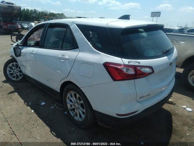 Chevrolet EQUINOX LS 2019 2GNAXHEV2K6150261 Image 3
