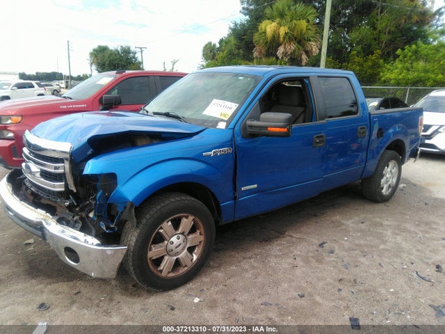 2013 FORD F-150 XL/XLT/FX2/LARIAT VIN: 1FTFW1CTXDFA43381