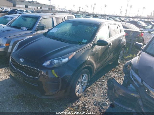 KNDPM3AC1K7618791 KIA Sportage Lx