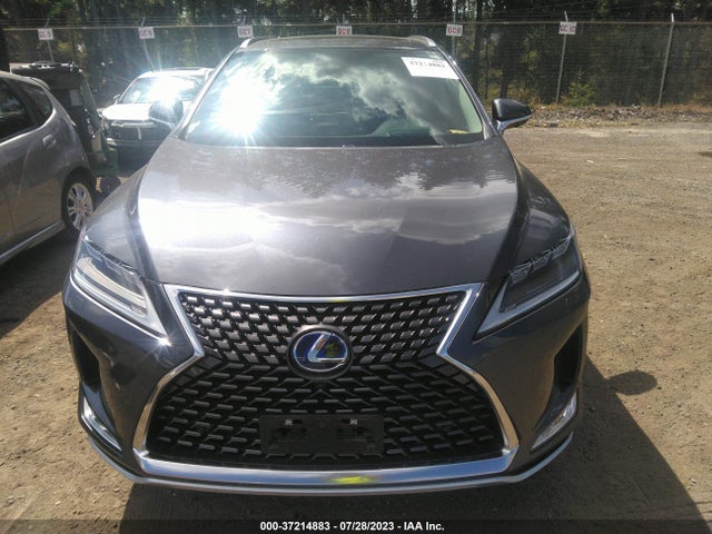 2022 Lexus RX, VIN: JTJJGKFA9N2023491