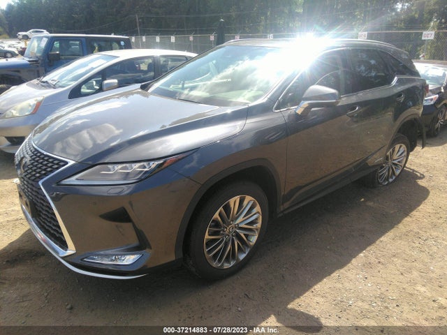 2022 Lexus RX, VIN: JTJJGKFA9N2023491