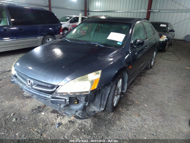 2007 HONDA ACCORD SDN LX SE VIN: 1HGCM66437A059838