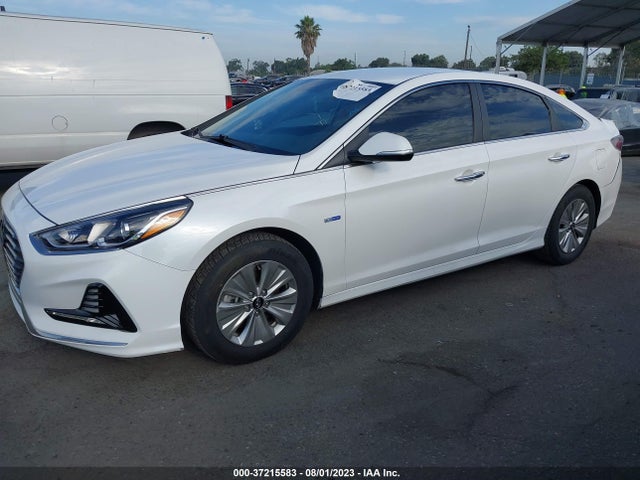 Hyundai Sonata Hybrid Se 2019 KMHE24L37KA092097 Image 6